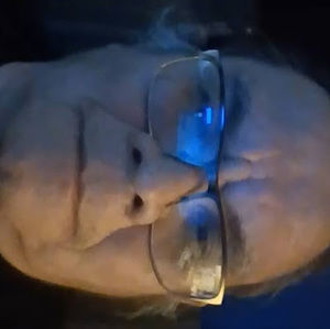 Meet your Posher, Christopher